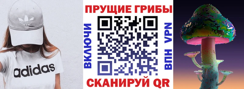 Галлюциногенные грибы Psilocybine cubensis  Чекалин 
